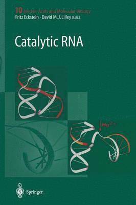 Catalytic RNA 1