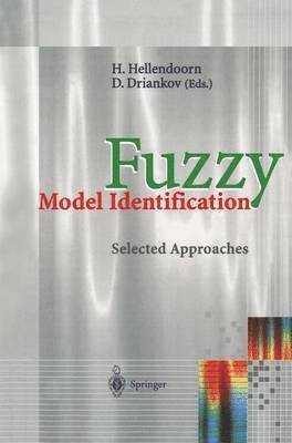 Fuzzy Model Identification 1
