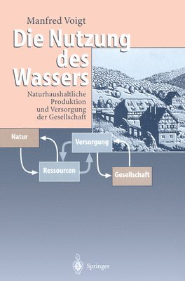 bokomslag Die Nutzung Des Wassers