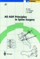 bokomslag AO ASIF Principles in Spine Surgery