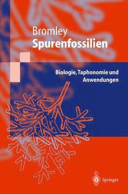 Spurenfossilien 1