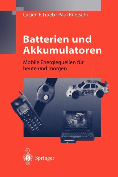 bokomslag Batterien und Akkumulatoren