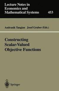 bokomslag Constructing Scalar-Valued Objective Functions