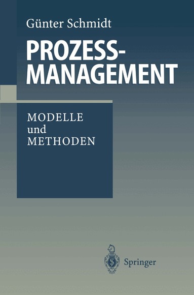 Günter Schmidt - Prozeßmanagement, Häftad