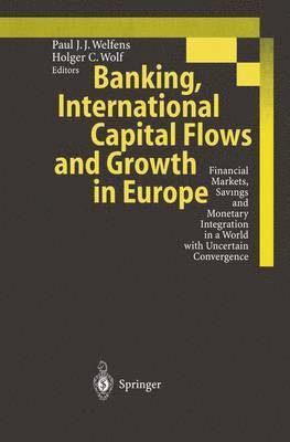 Paul J.J. Welfens, Holger C. Wolf, Paul J. J. Welfens - Banking, International Capital Flows and Growth in Europe, Inbunden