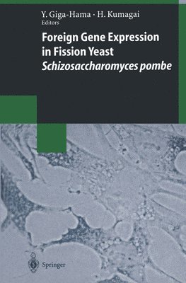 bokomslag Foreign Gene Expression in Fission Yeast: Schizosaccharomyces pombe