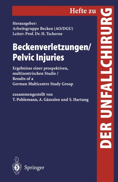 Arbeitsgruppe Becken (AO/DGU) - Beckenverletzungen / Pelvic Injuries, Häftad