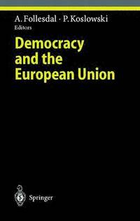 bokomslag Democracy and the European Union