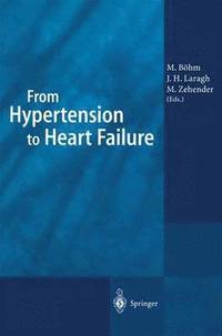 bokomslag From Hypertension to Heart Failure