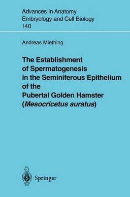 bokomslag The Establishment of Spermatogenesis in the Seminiferous Epithelium of the Pubertal Golden Hamster (Mesocricetus auratus)