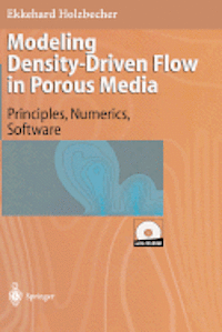 bokomslag Modeling Density-Driven Flow in Porous Media