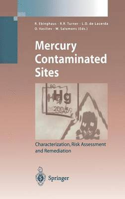 bokomslag Mercury Contaminated Sites