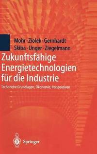 bokomslag Zukunftsfhige Energietechnologien fr die Industrie