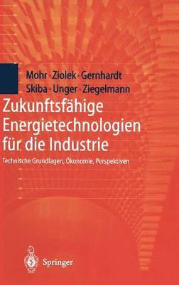 bokomslag Zukunftsfahige Energietechnologien fur die Industrie