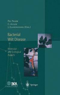 bokomslag Bacterial Wilt Disease