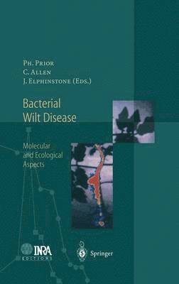 P. Prior, C. Allen, Philippe Prior, Caitilyn Allen, John Elphinstone - Bacterial Wilt Disease, Inbunden