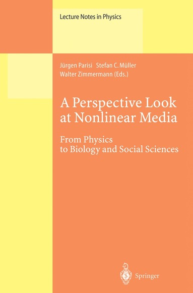 Jürgen Parisi, Stefan C. Müller, Walter Zimmermann - Perspective Look at Nonlinear Media, Inbunden