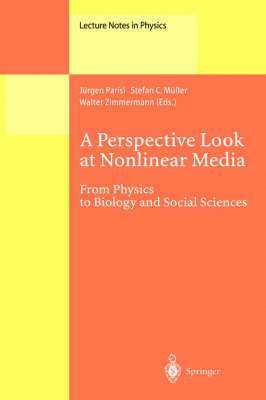 Jürgen Parisi, Stefan C. Müller, Walter Zimmermann - Perspective Look at Nonlinear Media, Inbunden
