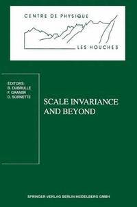 bokomslag Scale Invariance and Beyond