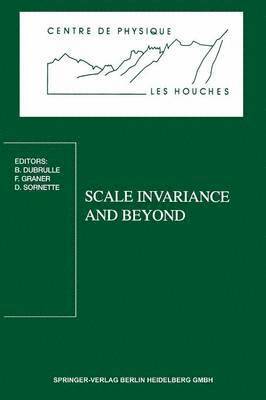 bokomslag Scale Invariance and Beyond