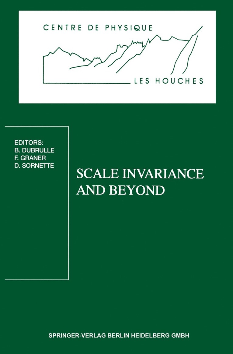 B. Dubrulle, F. Graner, D. Sornette, Berengere Dubrulle, Francois Graner - Scale Invariance and Beyond, Häftad