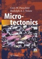 bokomslag Microtectonics