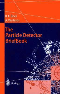 bokomslag The Particle Detector BriefBook