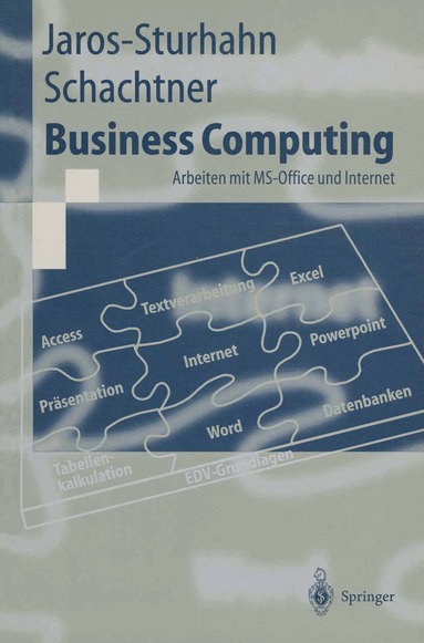 Anke Jaros-Sturhahn, Konrad Schachtner - Business Computing, Häftad