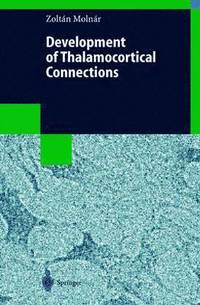 bokomslag Development of Thalamocortical Connections