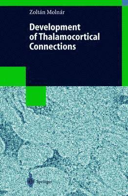 Development of Thalamocortical Connections 1