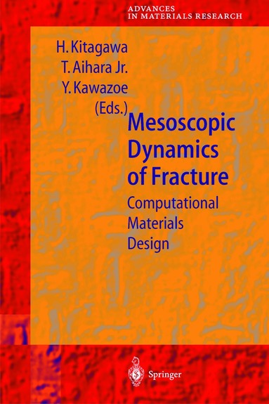 Hiroshi Kitagawa, Tomoyasu Jr. Aihara, Yoshiyuki Kawazoe - Mesoscopic Dynamics of Fracture, Inbunden