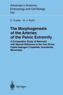 bokomslag The Morphogenesis of the Arteries of the Pelvic Extremity
