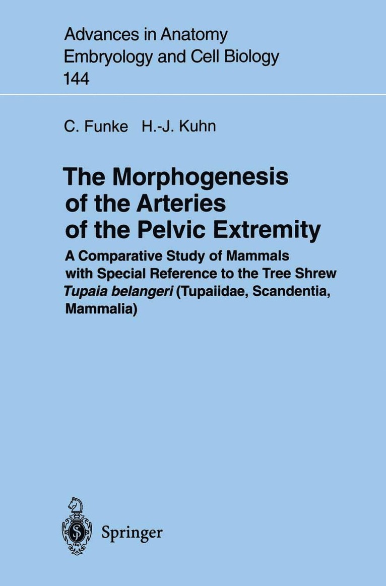 The Morphogenesis of the Arteries of the Pelvic Extremity 1