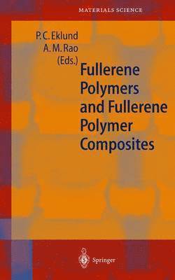 bokomslag Fullerene Polymers and Fullerene Polymer Composites