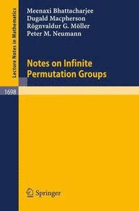 bokomslag Notes on Infinite Permutation Groups