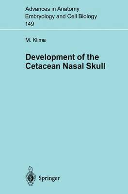 Development of the Cetacean Nasal Skull 1