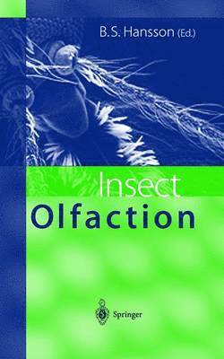 Bill S. Hansson - Insect Olfaction, Inbunden