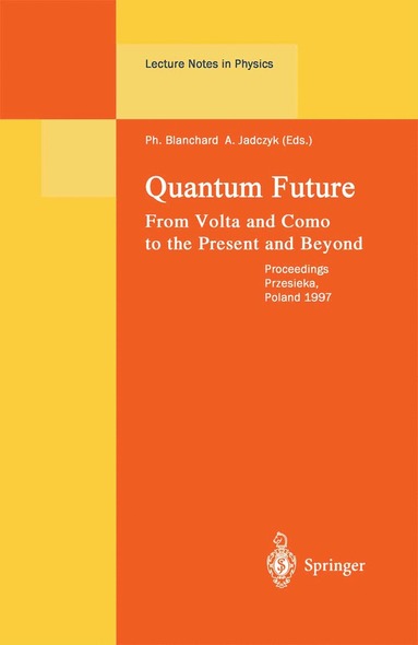 bokomslag Quantum Future