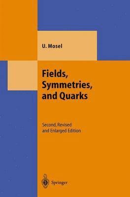 bokomslag Fields, Symmetries, and Quarks