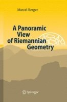 bokomslag A Panoramic View of Riemannian Geometry