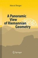 A Panoramic View of Riemannian Geometry 1