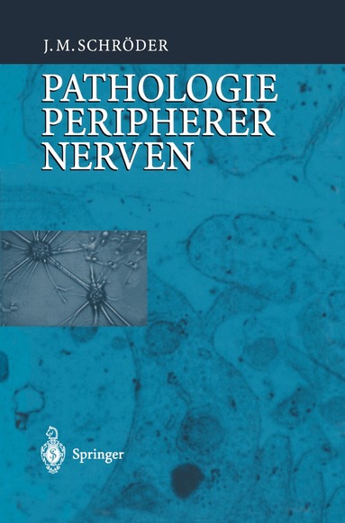 J.M. Schröder - Pathologie des Nervensystems VIII, Inbunden