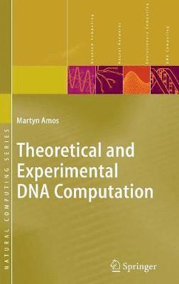 Theoretical and Experimental DNA Computation 1