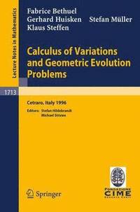 bokomslag Calculus of Variations and Geometric Evolution Problems