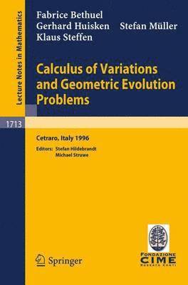 bokomslag Calculus of Variations and Geometric Evolution Problems