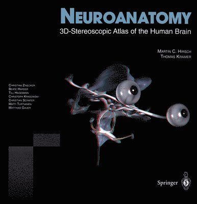 Neuroanatomy 1