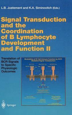L. B. Justement, K. a. Siminovitch, Louis B. Justement, Katherine A. Siminovitch - Signal Transduction and the Coordination of B Lymphocyte Development and Function II, Inbunden