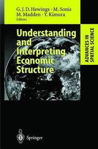 bokomslag Understanding and Interpreting Economic Structure