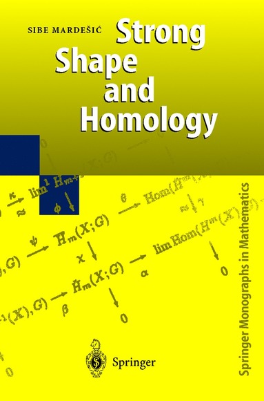 bokomslag Strong Shape and Homology