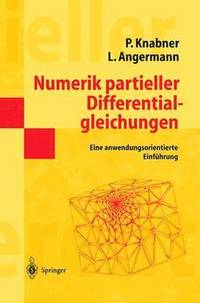 bokomslag Numerik partieller Differentialgleichungen